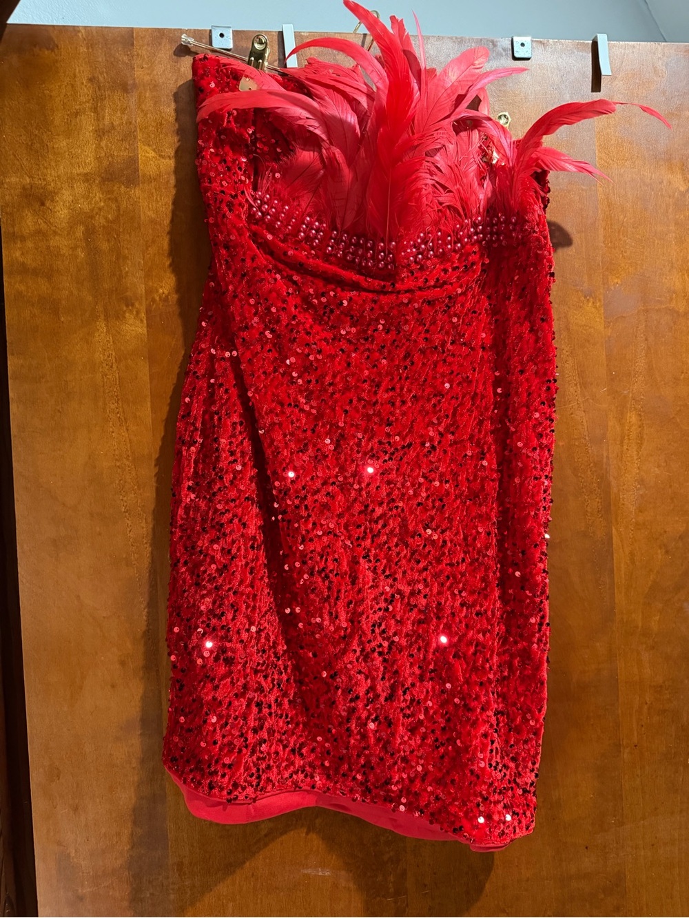 Red Feather & Sequin Strapless Party Dress